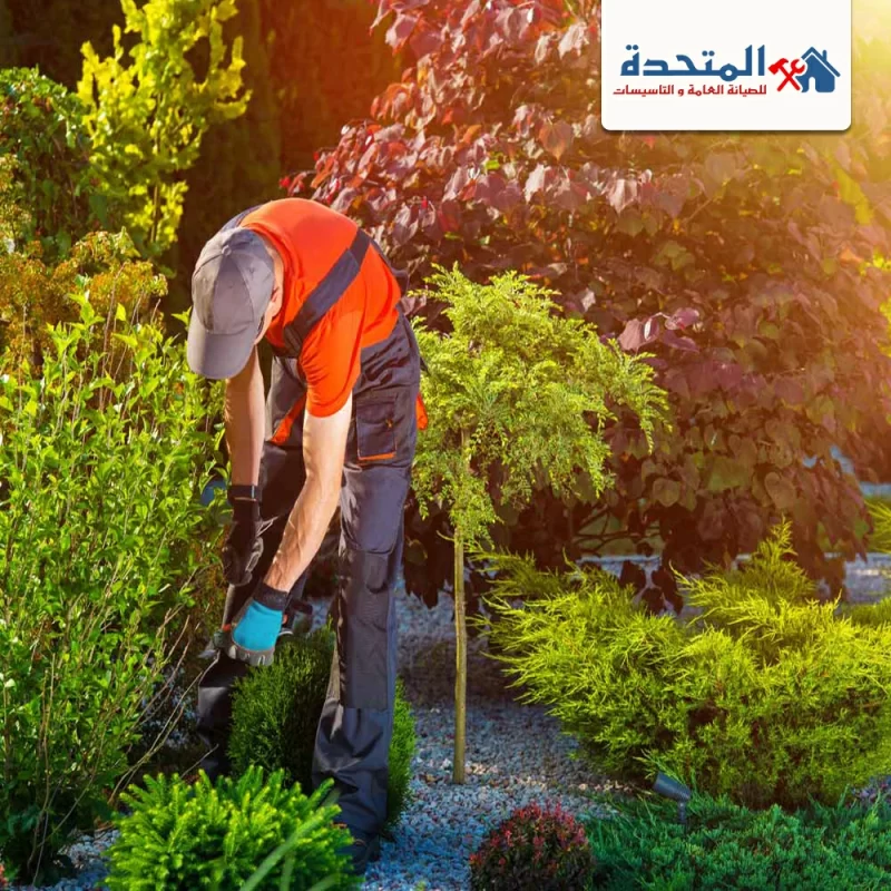 شركة تنسيق حدائق في راس الخيمة