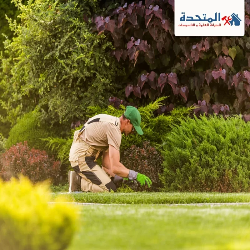 شركة تنسيق حدائق عجمان