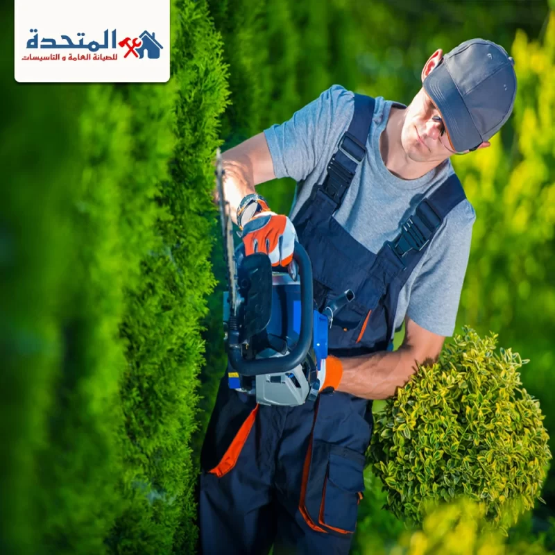 شركة تنسيق حدائق في راس الخيمة