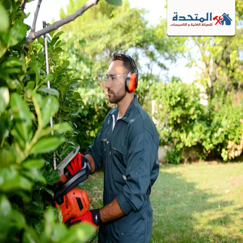 شركة تنسيق حدائق عجمان |0589957225| لمسة جمالية شركة تنسيق حدائق عجمان |0589957225| لمسة جمالية