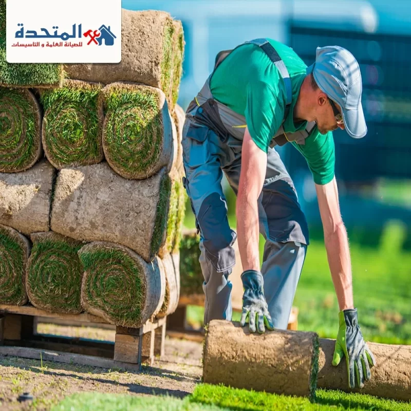 شركة تنسيق حدائق فى دبى |0589957225| منتزهات