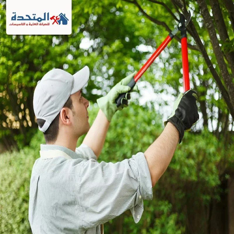 شركة تنسيق حدائق في راس الخيمة