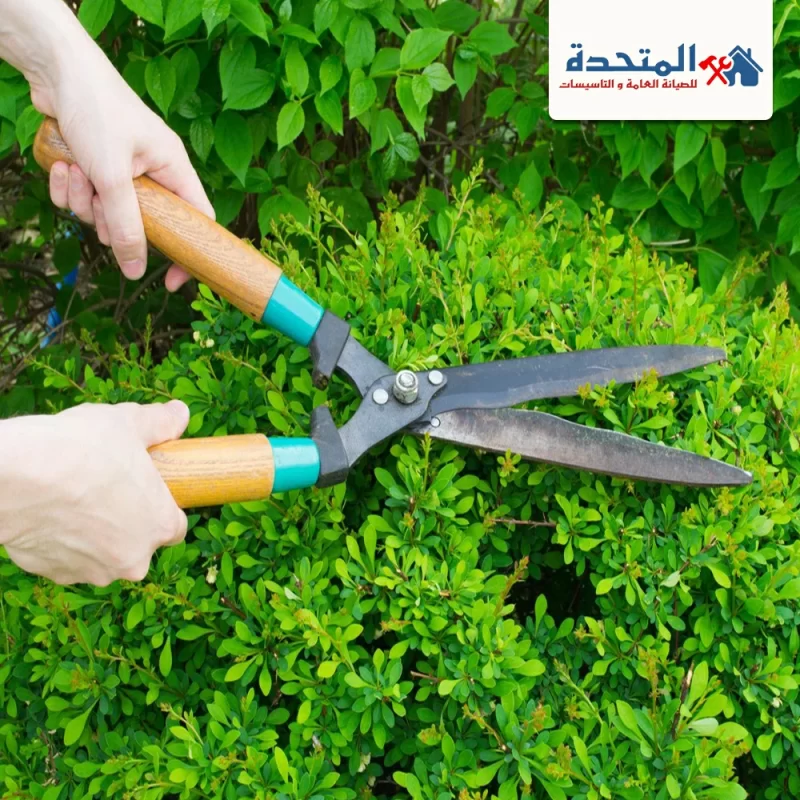 شركة تنسيق حدائق عجمان