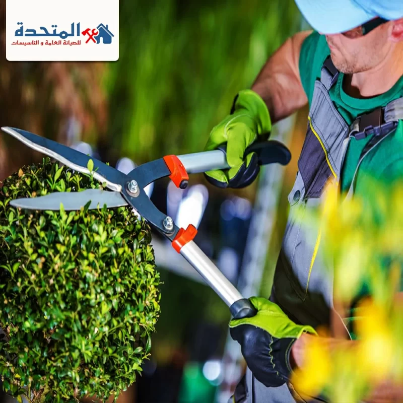 شركة تنسيق حدائق في راس الخيمة