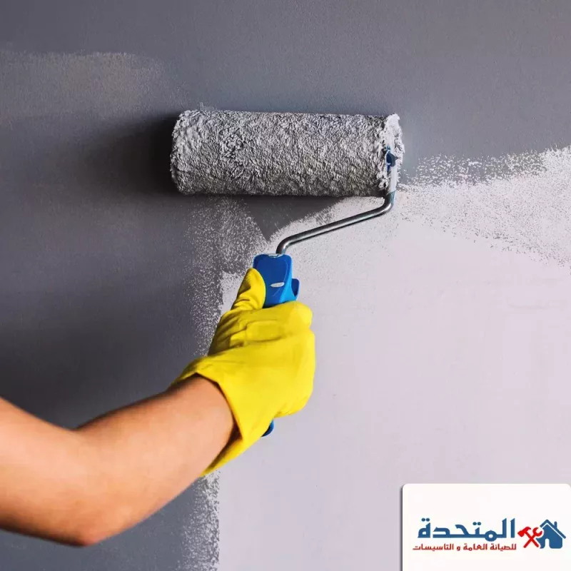 شركة صبغ في عجمان |0589957225 |صباغ رخيص