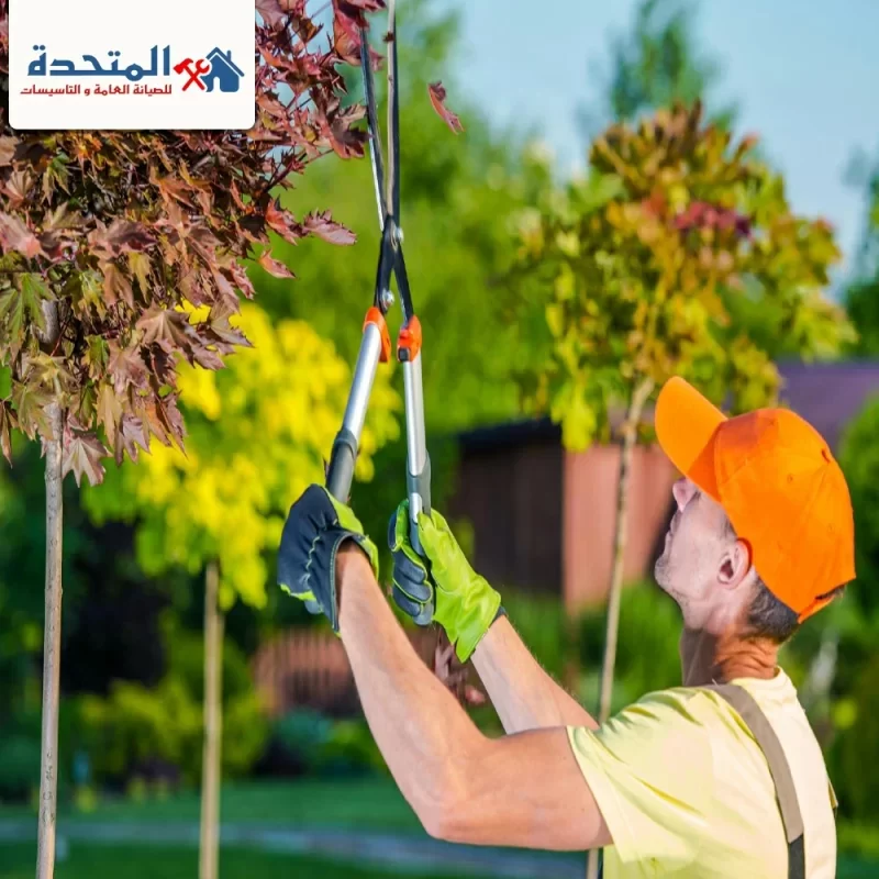 شركة تنسيق حدائق عجمان