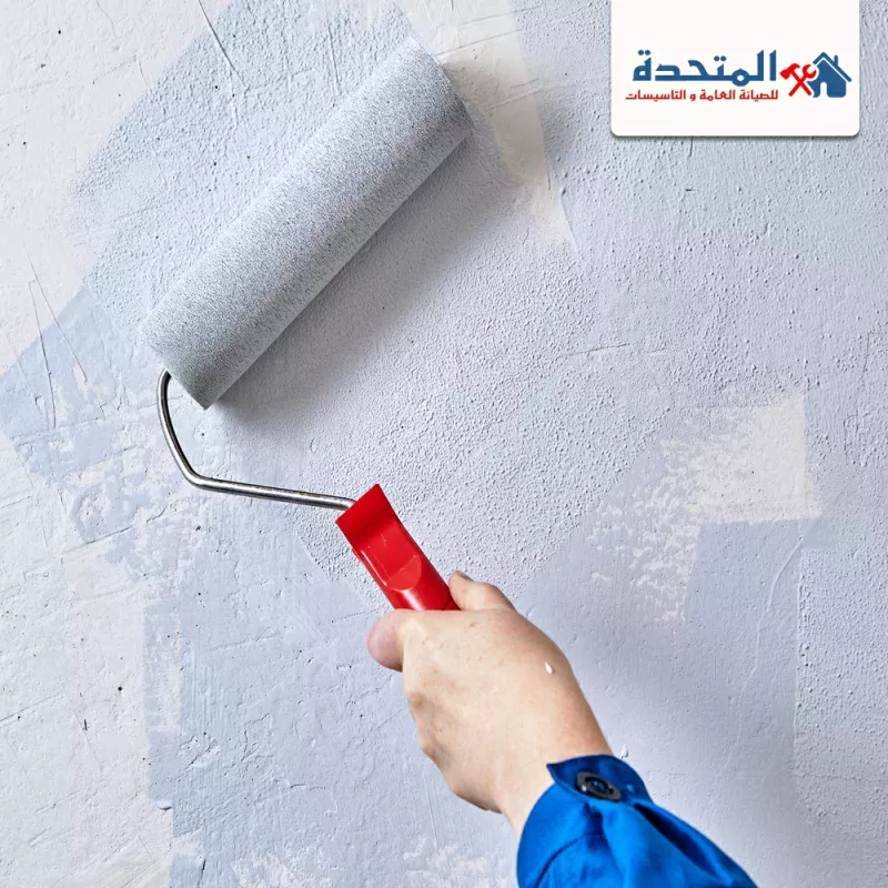 شركة صبغ في ابوظبي |0589957225 |معلم دهانات