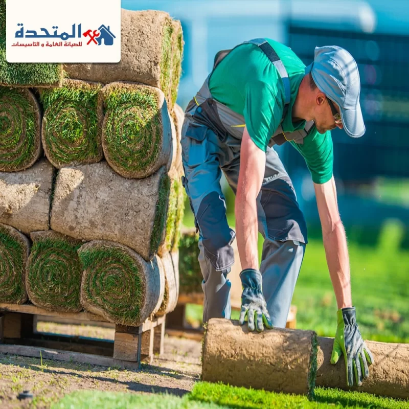 شركة تنسيق حدائق في الشارقة شركة تنسيق حدائق في الشارقة