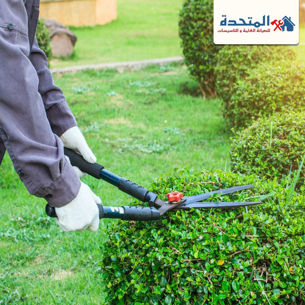 شركات لاند سكيب في دبي