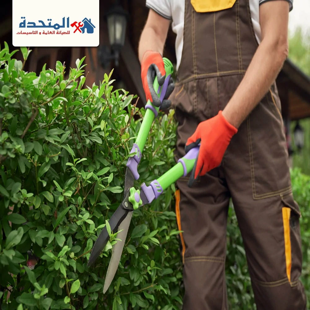 شركة تنسيق حدائق فى دبى
