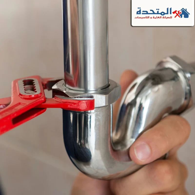 شركة زهرة الامارات شركة زهرة الامارات